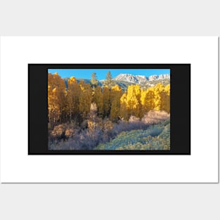 Inyo Forest in Autumn Posters and Art